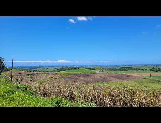 134HA FARM FOR SALE IN BALLITO RURAL